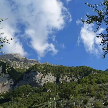 Daire Casa Iolanda On The Hill Of Positano Amalfi